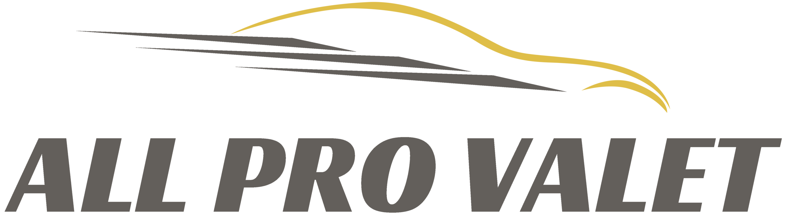 All Pro Valet logo